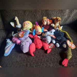 Ty Teenie Beanie Babies Lot of 11